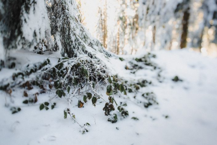 Winterhochzeit am Reinischkogel